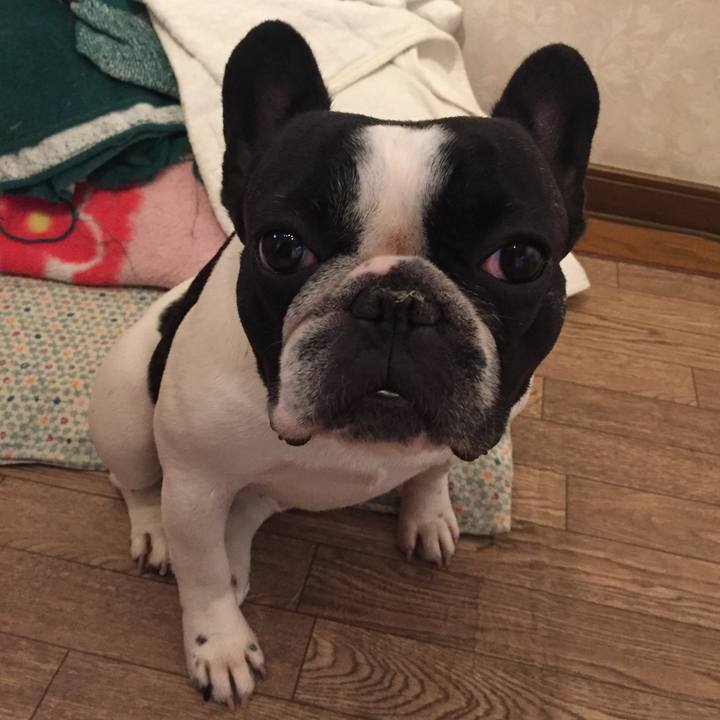 Cac7923c 64bf 45a0 b208 a4445fe6f01c