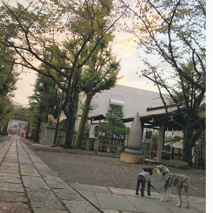 Cac820e6 730a 4658 b34b 0a98d07a1be2