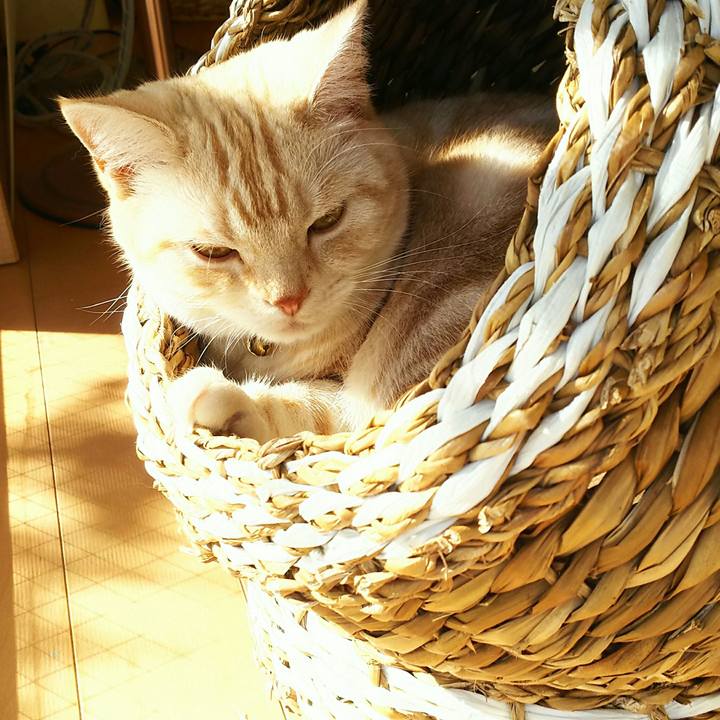 Cac840b0 22e7 4ca0 9186 7c9351d53eb3