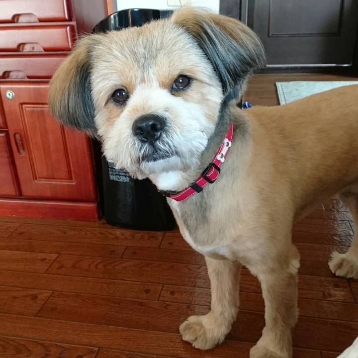 Cac8aaae a88f 4edd a096 39529cb7a93f