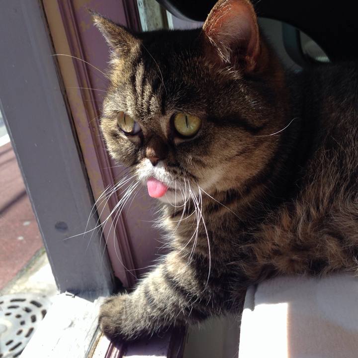 Cac8d6ff ca85 4281 a6ed d52286073028