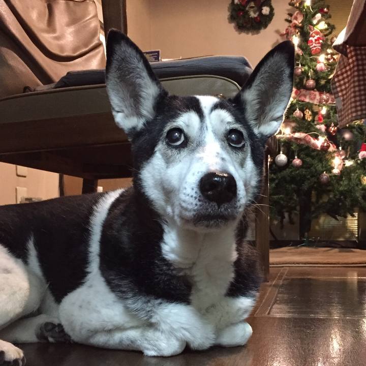 Cac9cbe8 3427 4eb6 8810 7a3402c6a965