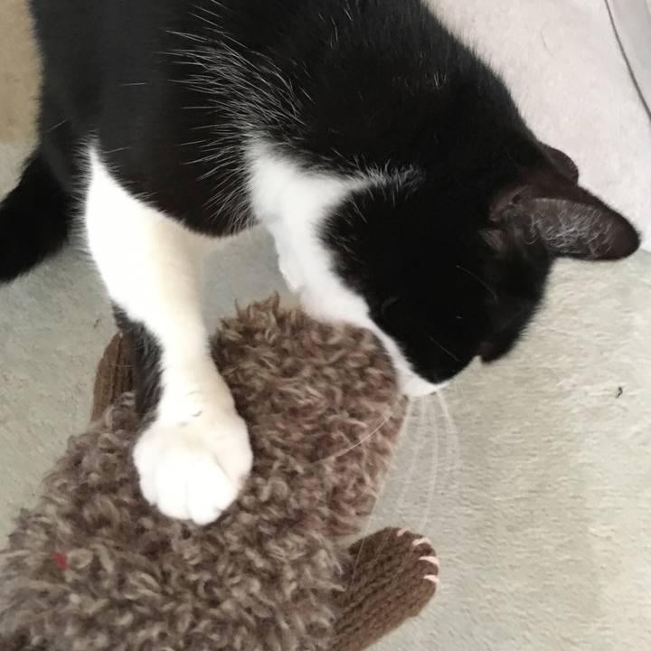 Cac9f6b3 9789 41bf a149 81b0502ecc5f