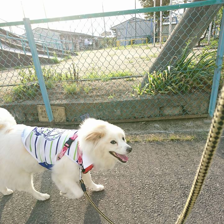 Caca1a49 a6c5 4217 b698 bd1e73811540