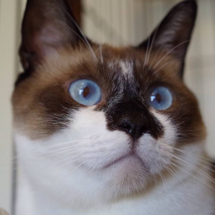 Cacafffd 0eee 4afb a086 af68d4e53cf9