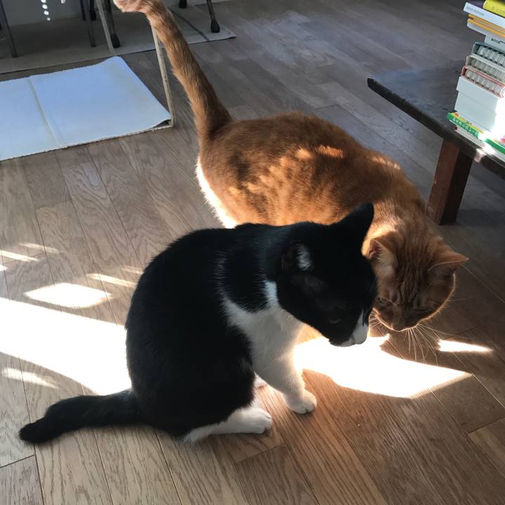 Cacb2362 e540 4bb0 8f83 fd3f77963636