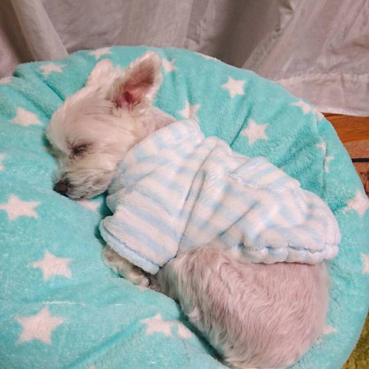 Cacb2a3e 5e9f 4be5 b593 600b94a55b02