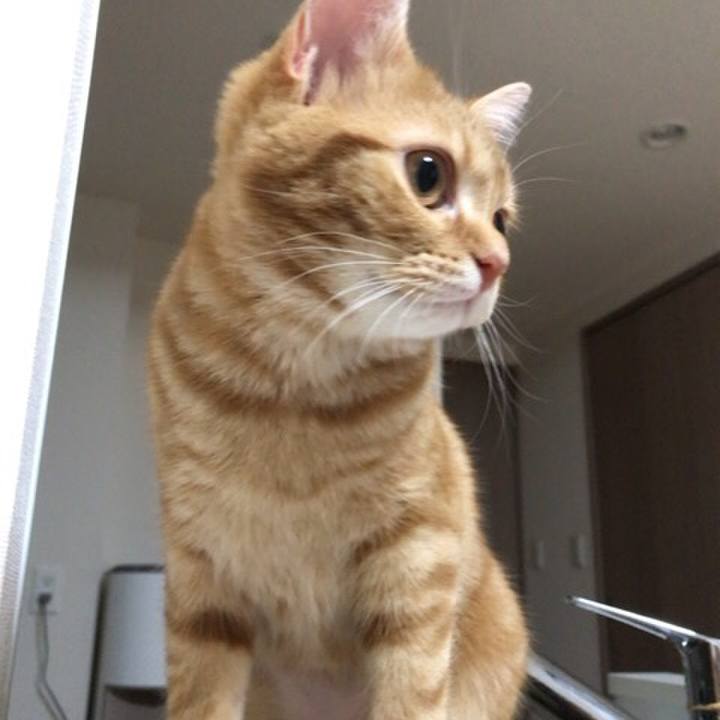 Cacb3cdf 04db 4f7f 99ed dcdd997df598