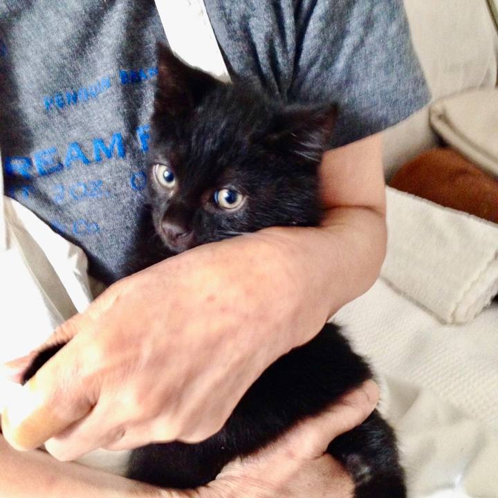 Cacb49b5 0570 4294 9ae7 0787832e694a