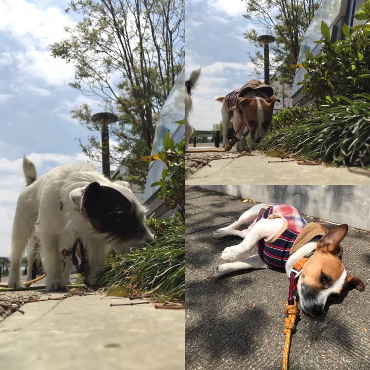 Cacb560d b566 46cc 9384 85579065e28c