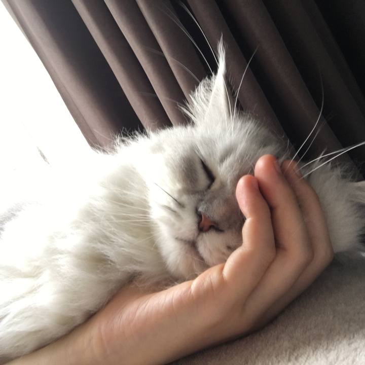 Cacb89c0 d419 4eec 8e82 d76752eabede