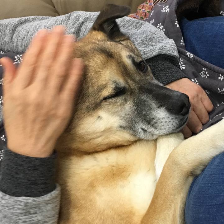 Cacbc79c 3137 418a 9693 e1902db6f2ca