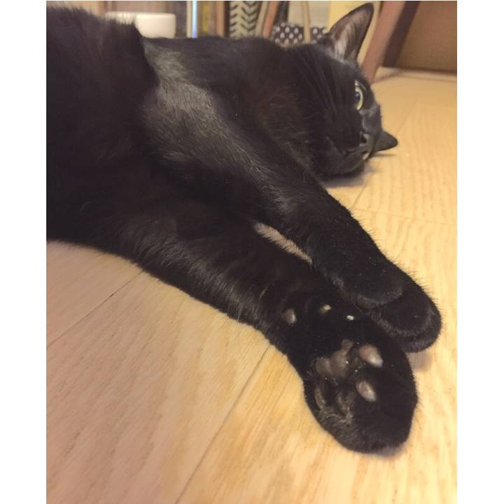 Cacbd04b a830 48aa 9a90 8c2013ecbbf6