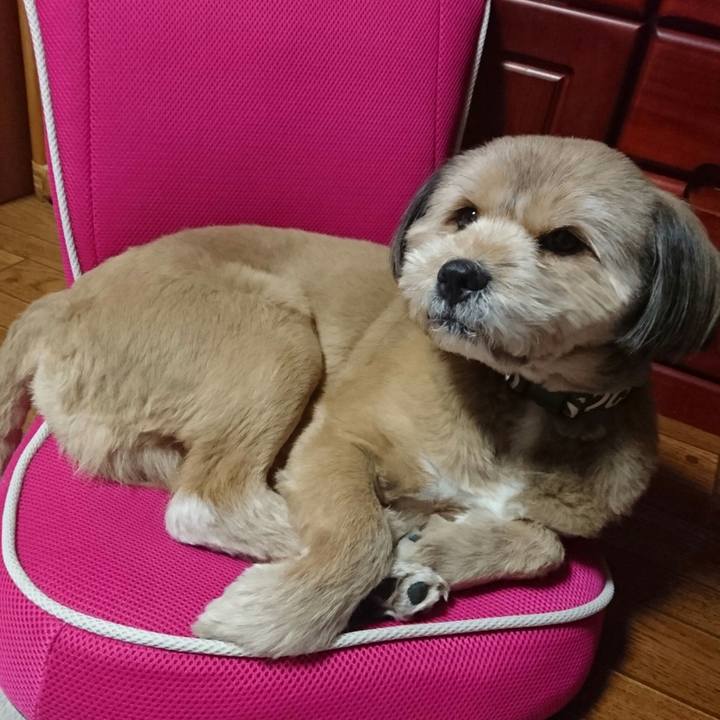 Cacbd3f3 7fdf 4257 b641 7e82f7cd2cff