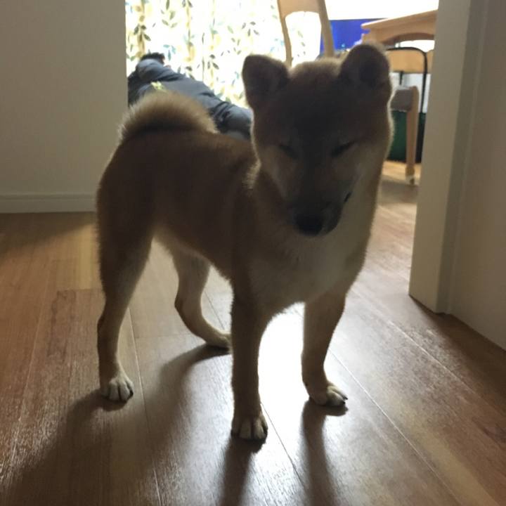 Cacbfc8e 5eae 4abe 8895 edaaf822b8fa