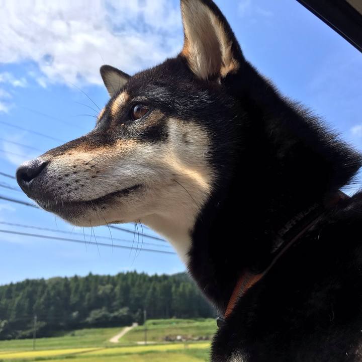 Cacc302e 35ea 44d0 b829 317bba5896db