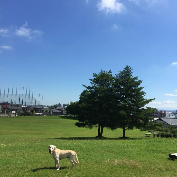 Cacc90fb eee9 4121 913c 27465e60259e