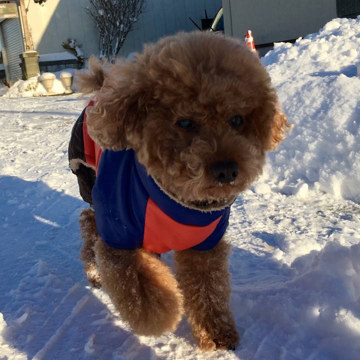 Caccd12d 25b6 467e bf38 6ee717be676c