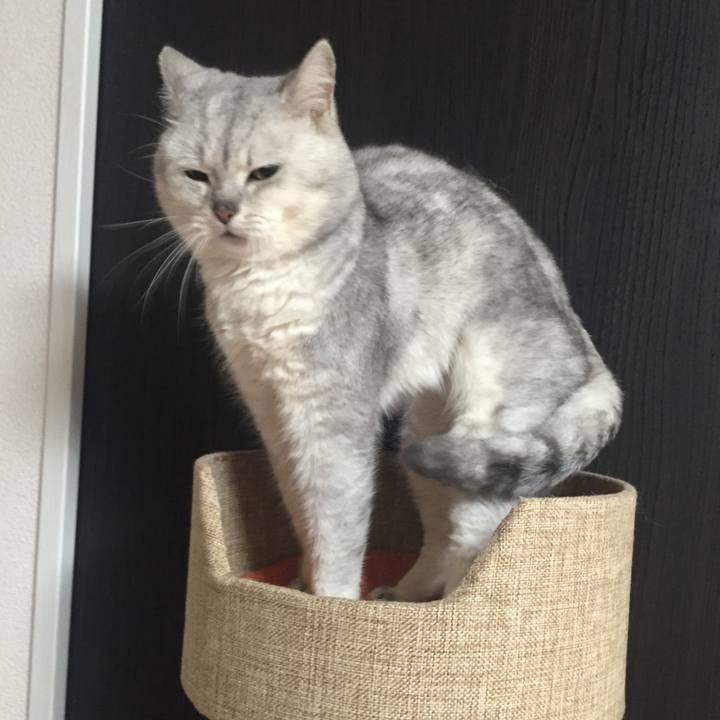 Caccd566 c31f 4c05 ac60 cd2379e04085