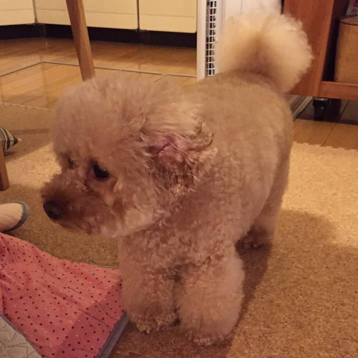 Cacd7fe7 fc1f 4e07 8ea2 d18d7a41eae7