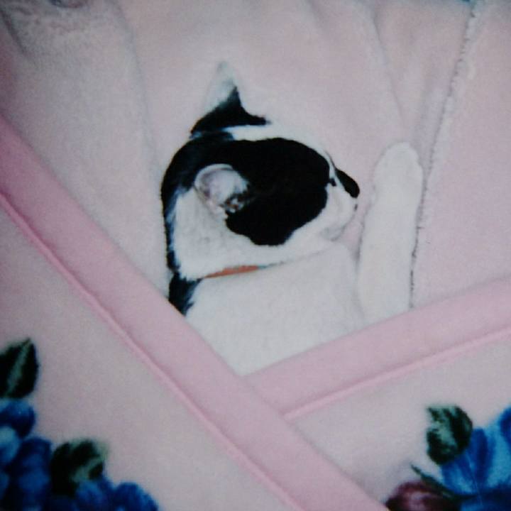 Cacd829c b4fb 41d6 b266 f18449803132