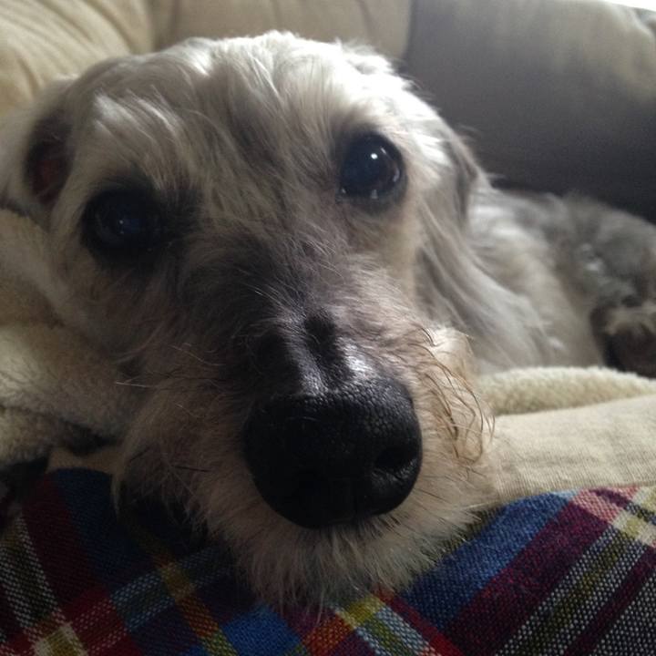 Cace8ade 42b2 4580 975b f952910c03ad