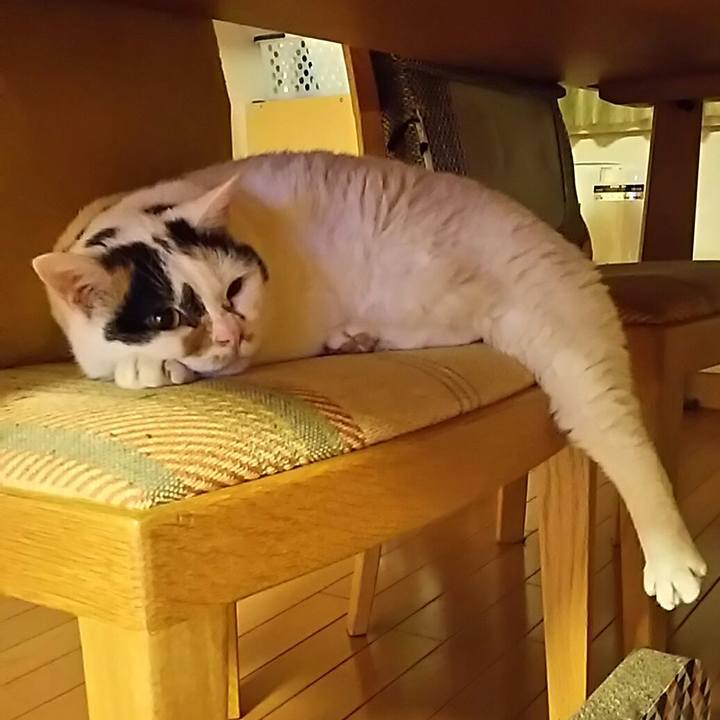 Caceaa4c dcea 4bc8 b328 aedd92bbf199