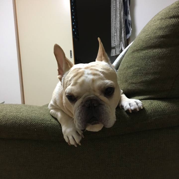 Cacf6726 4b19 4147 ae10 6712734fa2dc