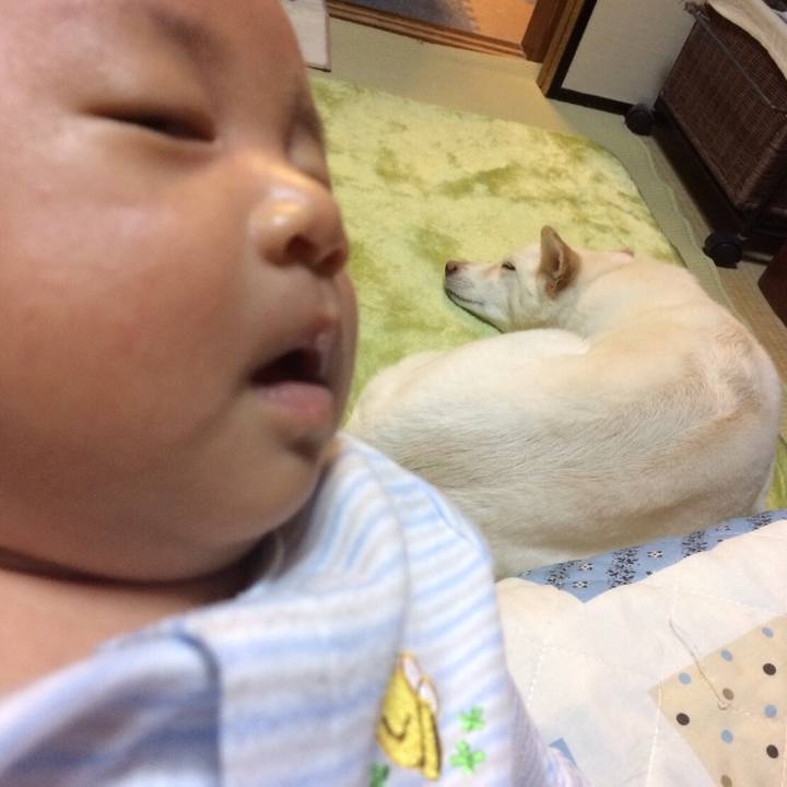 Cacfbd23 177d 4ffe 8a76 f5ceb9198542