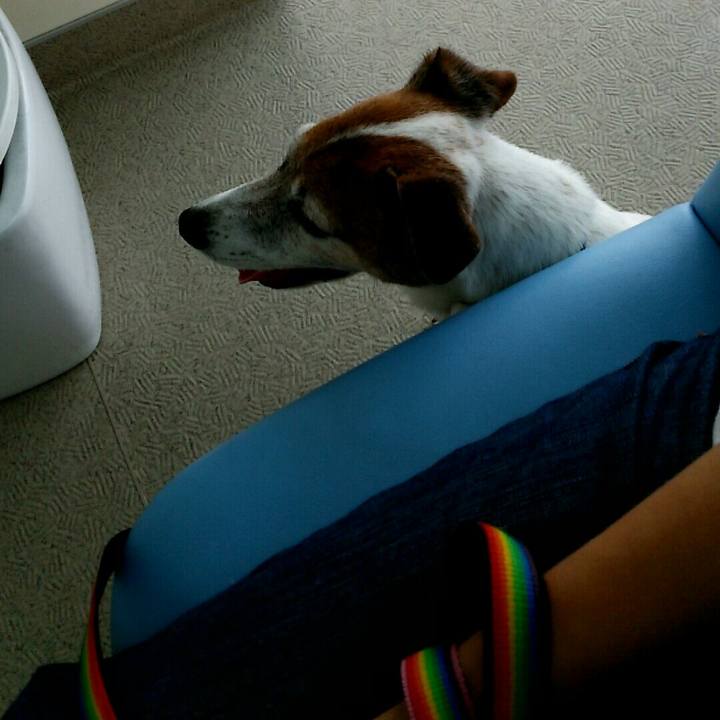 Cad00501 3355 4b7e bd0d c6fb61480d03