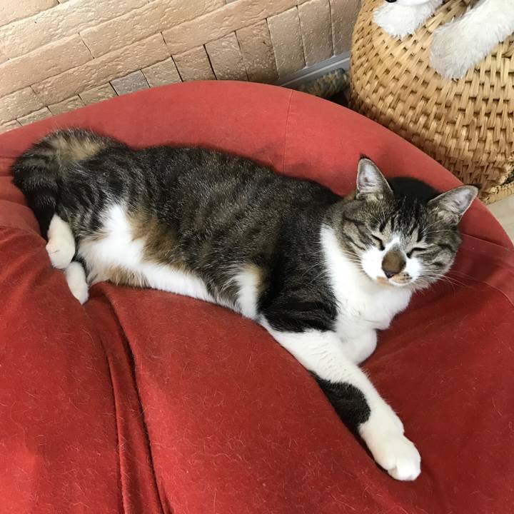 Cad01e44 046e 42ed a690 13308523187a