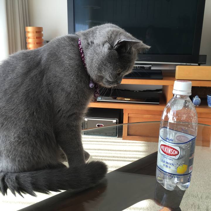 Cad0392d 6051 401f 9f82 c03a8a63bde8