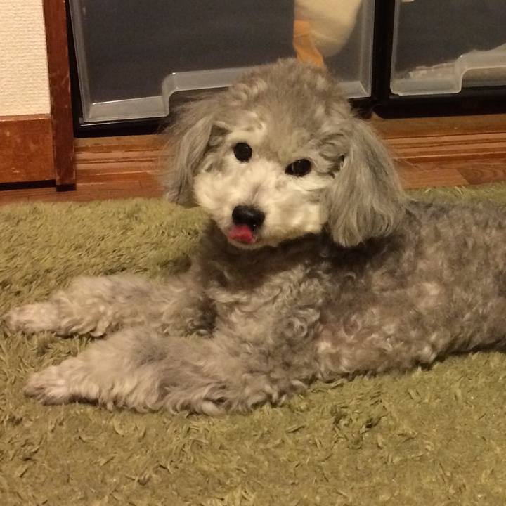 Cad0e2e4 f356 4e0a 8aad b8351cb98800