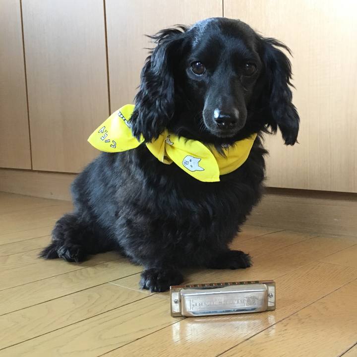 Cad106d8 f865 47e3 a692 6d32ecc623e9