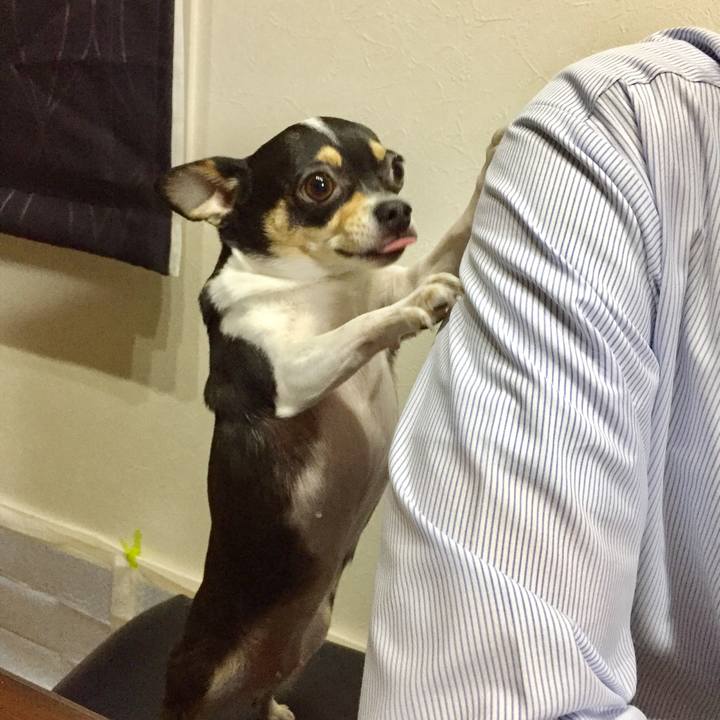 Cad13586 63cc 48d9 a4a1 f4ddf6861298