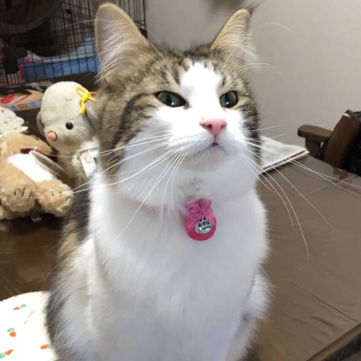 Cad216c8 1d84 4a87 a964 00739d3066e3