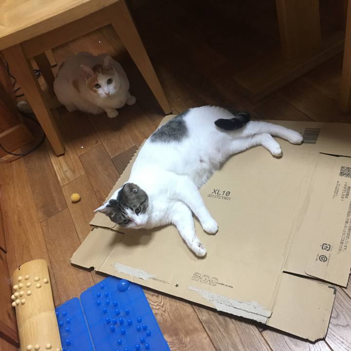 Cad23672 863a 4a8b a36e 9e2129678b5f