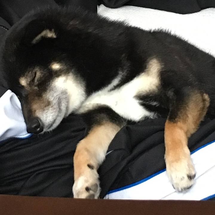 Cad26c21 d833 45d5 9779 096d553fcf22