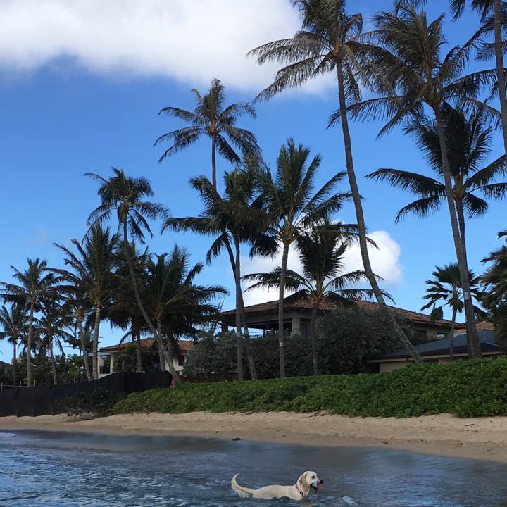 Cad2a895 32bf 4c30 a661 5bcbc324b991