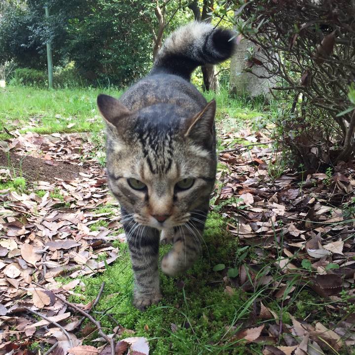 Cad2dea0 d22f 4bfa bb41 c37dcaeb924a