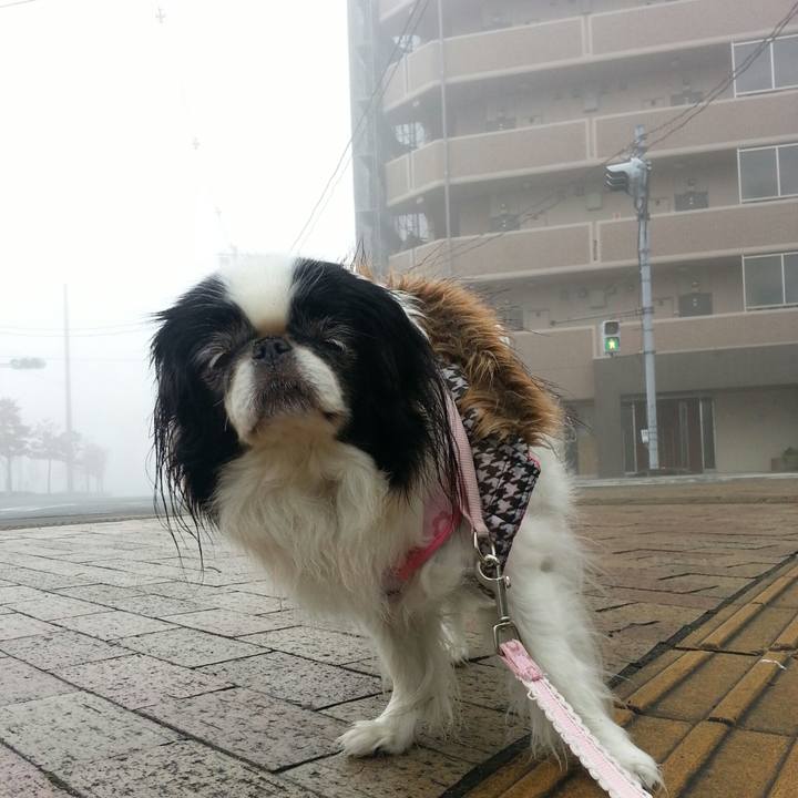 Cad34210 e2c7 4da9 b3e6 3ba8b851540c