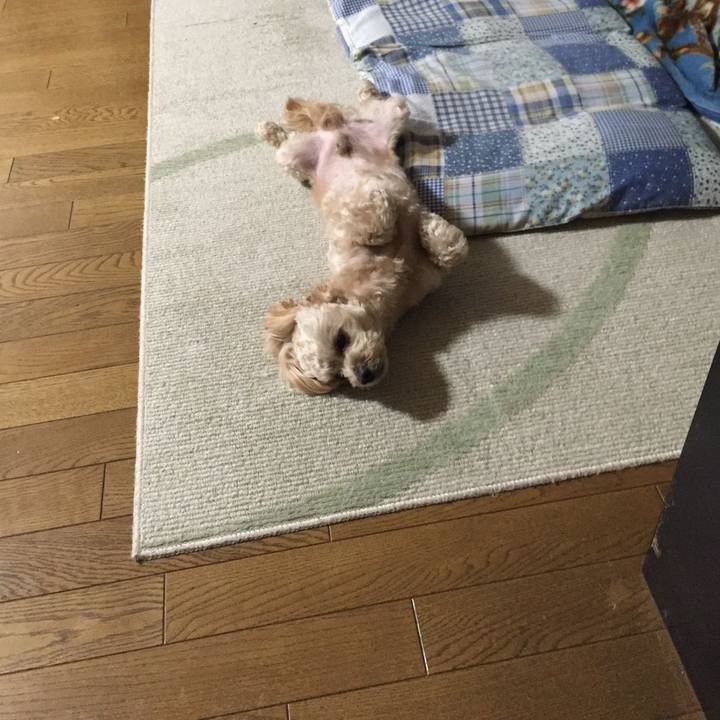 Cad38578 bf49 4f62 afe2 a3b779a59625