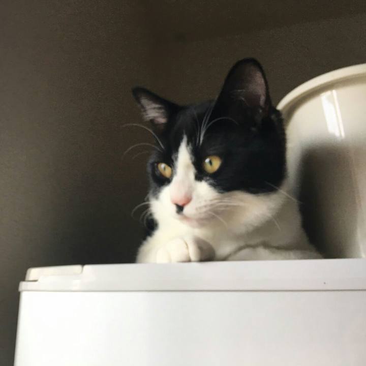 Cad3c8a0 c01c 46aa 8b40 a5a8d34948d8