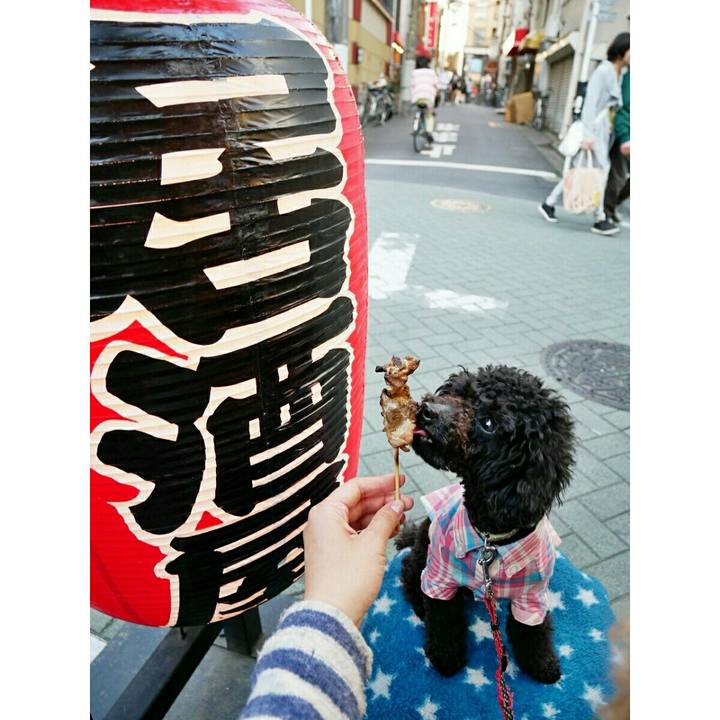 Cad44dcf 5a60 4ad3 b985 de97312d47cf