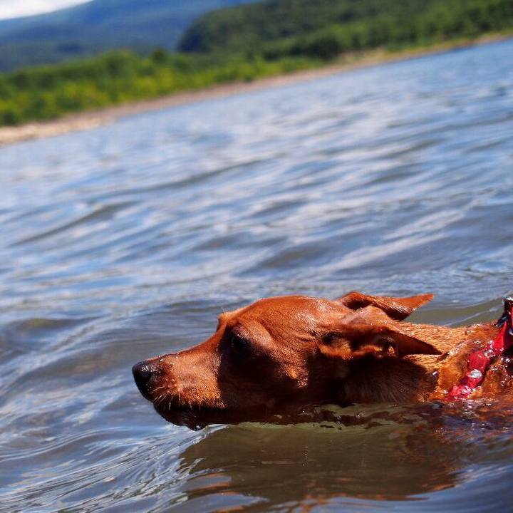 Cad50a79 5b4b 4d8c b5a1 fffae1539eca