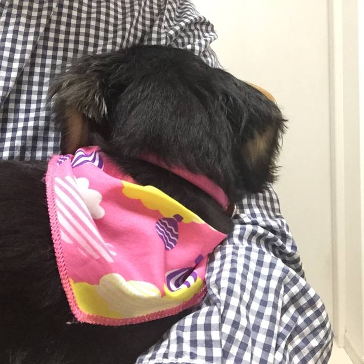 Cad5b6cf 1a50 48d0 a3fb 7bdde9c3ddad