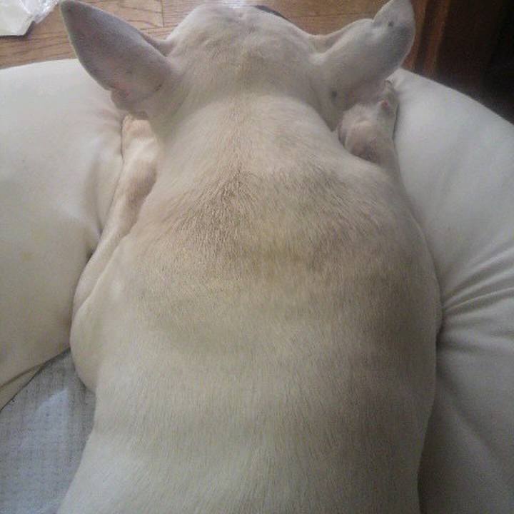 Cad63fe3 f084 42fc b629 a0637457f87c