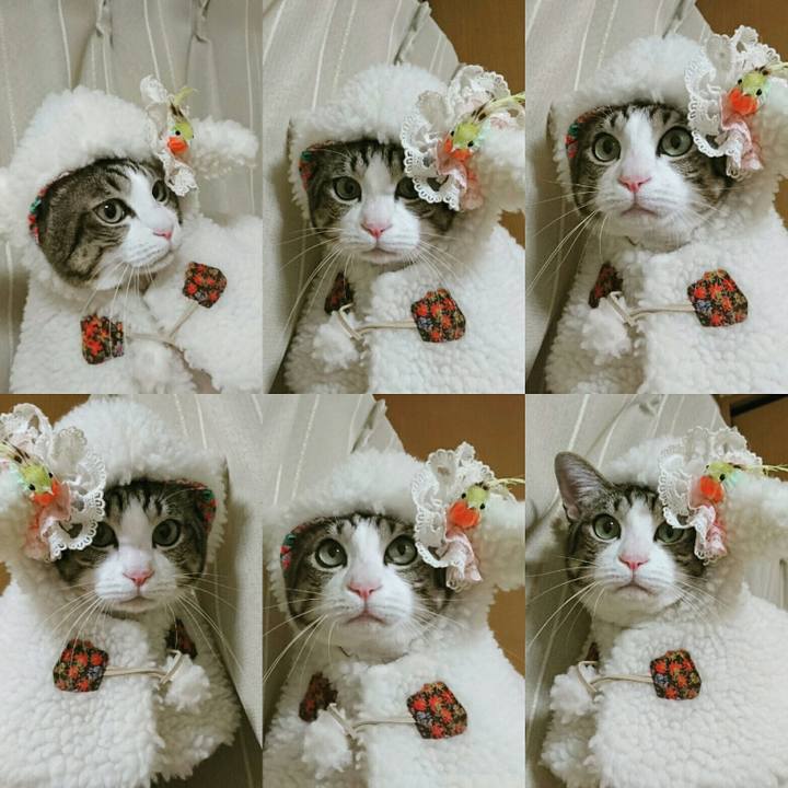 Cad66793 a41f 4759 b8f9 0edce13a991d