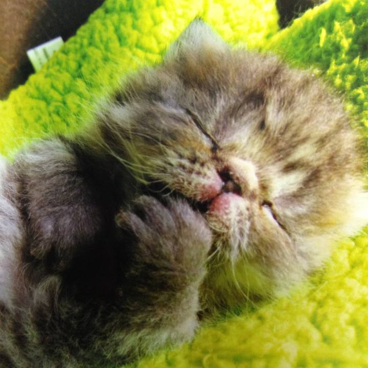 Cad69088 f879 4cd5 879f 0c2f1e1255fd