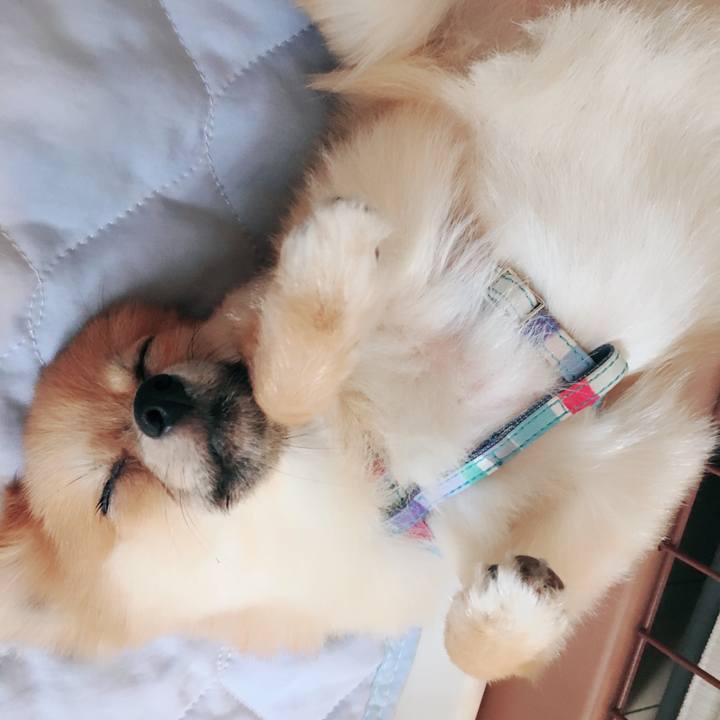 Cad6e429 2151 4e49 b5a4 17dc9c71b728